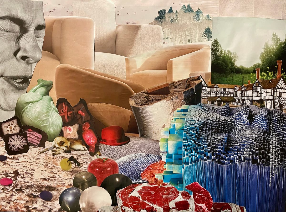 A collage of images including a sneezing face, pieces or furniture, chocolates, raw steak and fish.