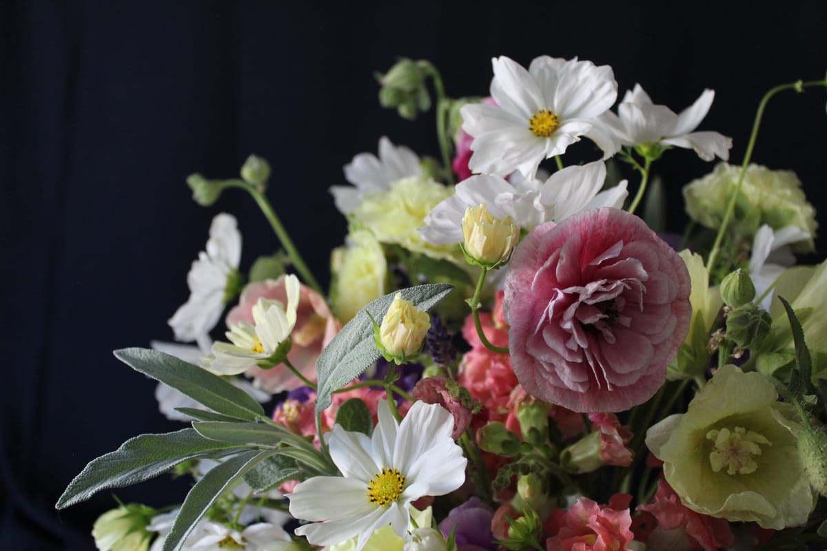 The sweet granularity of stillness