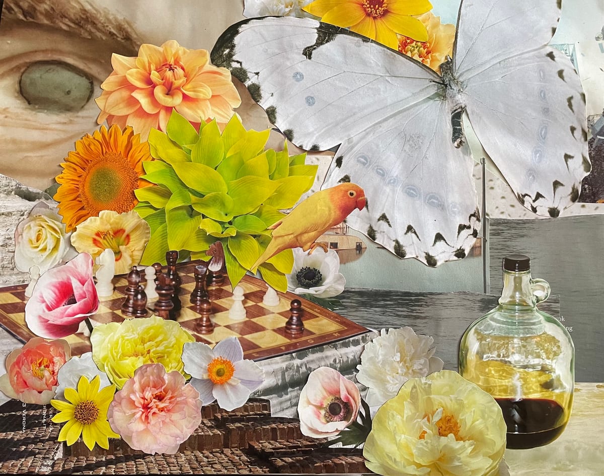 A collage of images including a chess board, a love bird, flowers, a statue's eye, a large white butterfly, open water, and a glass jug.