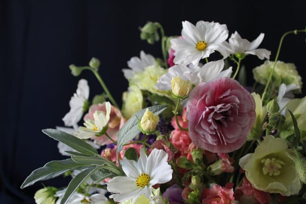 The sweet granularity of stillness